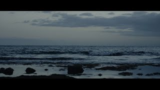 Blauwalherz Music Video