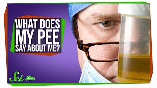 What Does My Pee Say About Me?