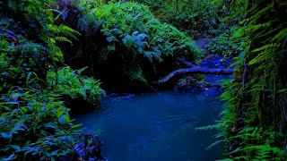 Listen to the gentle rustling of leaves, the soft chirping of birds, and the distant sound