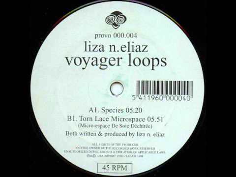 Liza N.Eliaz - Torn Lace Microspace (Micro-Espace De Soie Déchirée)