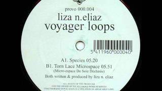 Liza N.Eliaz - Torn Lace Microspace (Micro-Espace De Soie Déchirée)