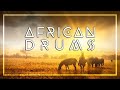 AFRICAN DRUM MUSIC • Tribal Beats • Shaman Dance • Unleash your Primal Self