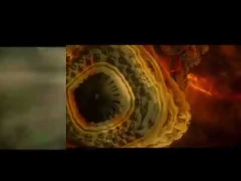 MuYah - Insight (visualiser,2022)