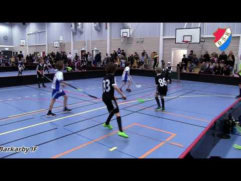 DSK P10 Innebandy Knatteliga 190203