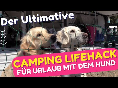 Camping Lifehack für Urlaub mit dem Hund - Hundezaun