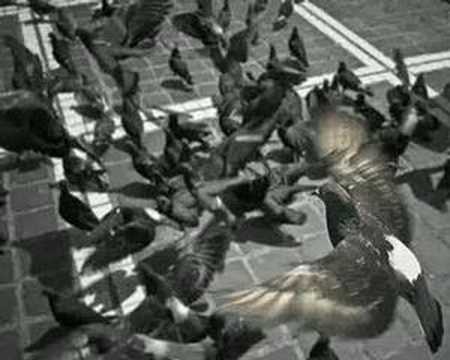 Veritasaga-Ucigasul Perfect (cu DJ Nemo)