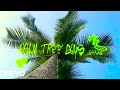 Hard Life Palmtreedays 1644 Wav