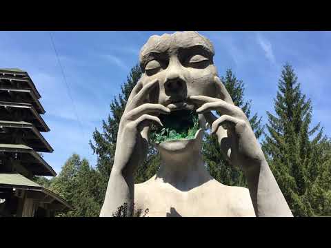 MICO X - Hekwapi rec. @ Modem mutation V1 (Nr8) 13.08.2021