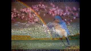 Harry Nilsson - Over the Rainbow (explicit)