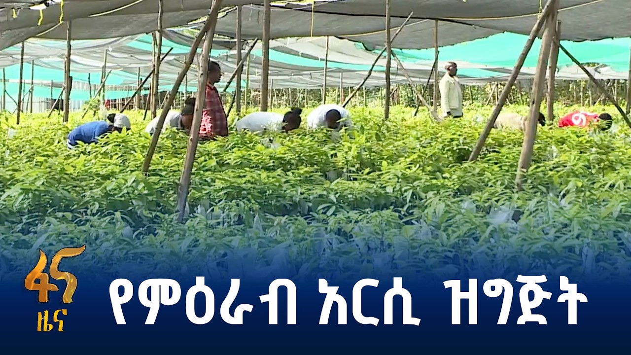 የ305 ሚሊየን ችግኝ ተከላ ንቅናቄ