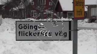 preview picture of video 'Göingeflickorna'