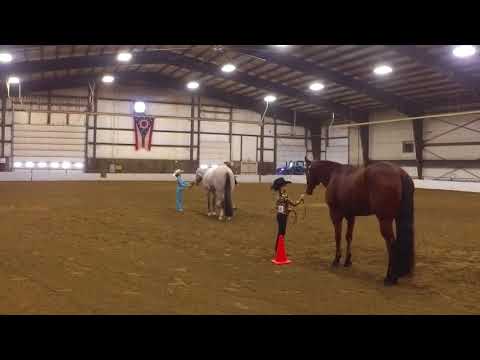 Harper and Toby - 1st small fry Showmanship