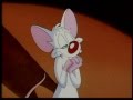 Pinky And The Brain Battle For The Planet