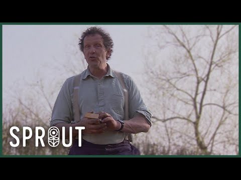 Spring Gardening Tips - Planting, Pruning, and Compost Tea Secrets