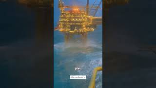 Download lagu Offshore Oil Rig - Pengeboran Kilang Minyak Lepas Pantai #faktaunik #fakta #amazingfacts #faktanyata mp3 Download lagu Offshore Oil Rig - Pengeboran Kilang Minyak Lepas Pantai #faktaunik #fakta #amazingfacts #faktanyata mp3