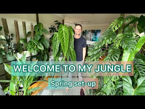 LIVING ROOM TOUR - setting up my indoor jungle for spring