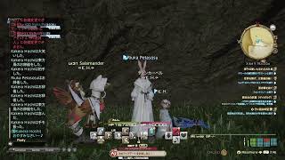 FF14  my  sisterとモグコレ、プチモグチャレンジ。
