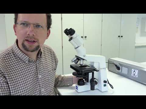 Hallo aus dem Labor: Mikroskopie Einstieg