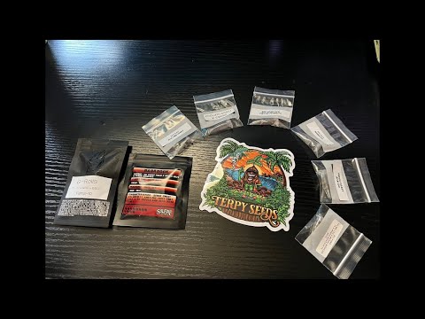 TerpySeeds Unboxing Square One Genetics and Solfire Gardens
