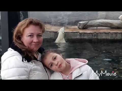 Пражский зоопарк часть 5