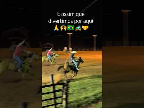 Treino de laço em Guaraci/PR 🇧🇷