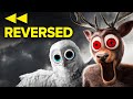 REVERSED 99 Nights The Band Diamonds Official Song