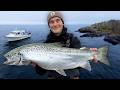 We Test The Nordic S Largest Trolling Boat Catch 3 Species