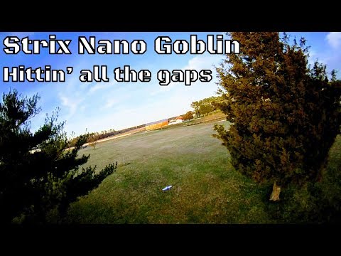 strix-nano-goblin-hittin39-all-the-gaps