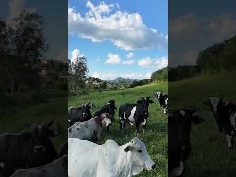 🚁 Explorando Toledo - Minas Gerais | Vai de Drone