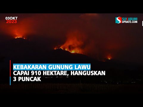 Kebakaran Gunung Lawu Capai 910 Hektare, Hanguskan 3 Puncak