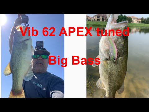 Realis Vibration 62 APEX Tuned Big Bass