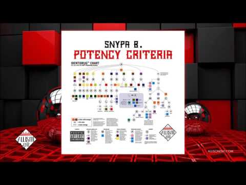 SNYPA B - GINSU (ALL IS ON ENTERTAINMENT)