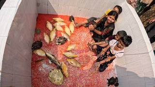 Download lagu Kids Playing with Colourful Fish & Vibrant Coloured Orbeez (Aquarium Fish Tank Activities) mp3 Download lagu Kids Playing with Colourful Fish & Vibrant Coloured Orbeez (Aquarium Fish Tank Activities) mp3