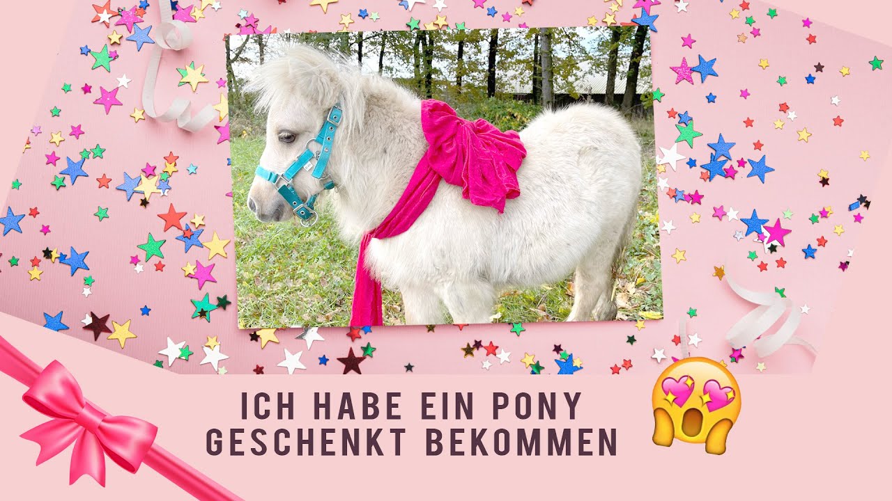 Bestes GEBURTSTAGSGESCHENK ever I Ich habe ein PONY geschenkt bekommen I Ponyhausen goes Mini Shetty