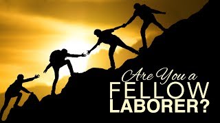Are You a Fellow-Laborer?