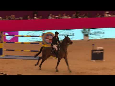 FAPE Chaccomo by Chacco Blue X Contender @ CSIW 5* MADRID GP 25/11/17