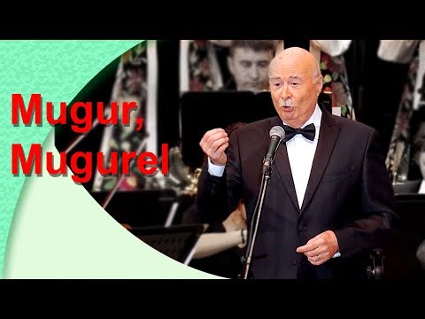 Tudor Gheorghe: Mugur, mugurel