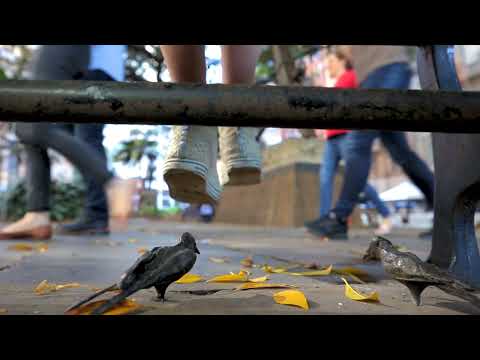 A distância do seu coração, de Tracey Emin