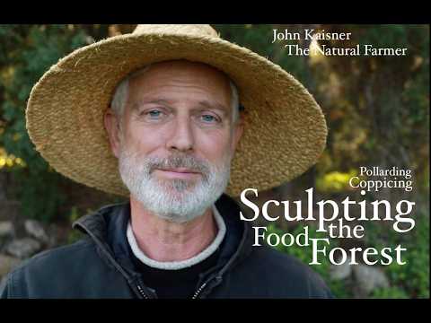 Kaisner's Mediterranean Food Forest: Sculpting Nature