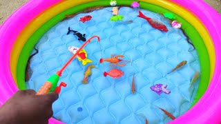 Download lagu Memancing Ikan Hias, Ikan Koi, Ikan Koki, Ikan Mas, Ikan Lohan, Ikan Mujaer, Ikan Hiu, Ikan Paus mp3