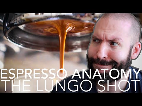 ESPRESSO ANATOMY - The Lungo Shot