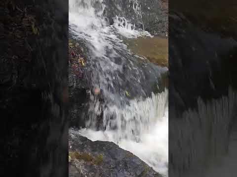 Cachoeira da Maravilha, Cardeal da Silva, Bahia ❤️