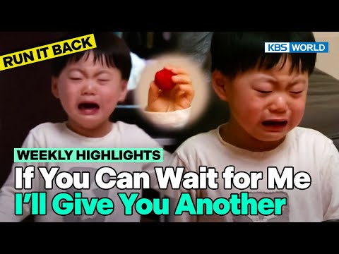 [Weekly Highlights] Ilkook Knows How to Baby His Kids😤 [TRoS Run It Back] | KBS WORLD TV