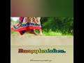 Vadaldi Varsi Re Whatsapp Status New 2020