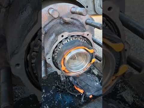 Seal Cleaning And Replacement