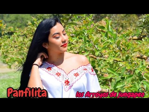 Panfilita-los Arroyos de Jungapeo