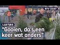 Creatief met kerstbomen: 5 keer kerstbomen, maar dan net anders | RTV Oost