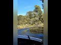 Jet boating the Cascade River