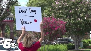 Fayetteville amends pet retail sale ordinance