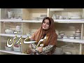 My Dinner Set Essentials Rabi Pirzada